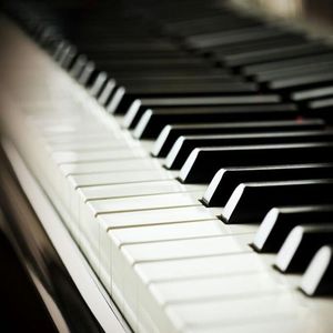 男人添女人萌蒂图片
