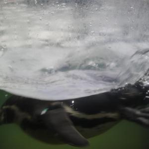 男人添女人萌蒂图片
