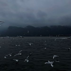 男人添女人萌蒂图片
