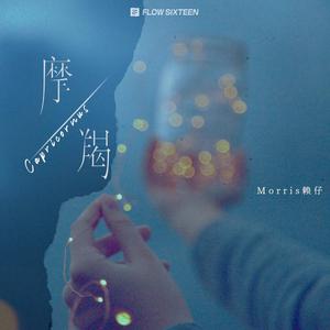 男人添女人萌蒂图片
